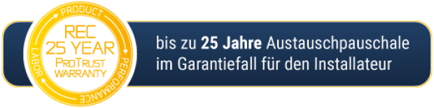 REC-Austauschpauschale